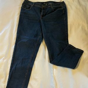 Lane Bryant jeans. 18 regular length